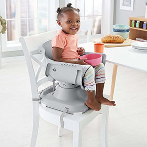 Fisher-Price SpaceSaver High Chair, Rosy Windmill