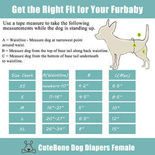 Load image into Gallery viewer, CuteBone Dog Diapers Female Small 3 Pack for Doggie D14S

