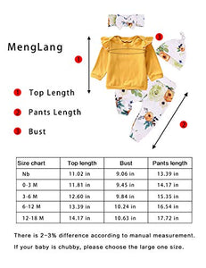 Baby Girls Clothes Long Sleeve Ruffle T-Shirt + Floral Pants + Headband + Hat 4Pcs Outfit Sets 0-3 Months