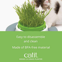 Load image into Gallery viewer, Catit Senses 2.0 Cat Grass Planter, Interactive Cat Toys
