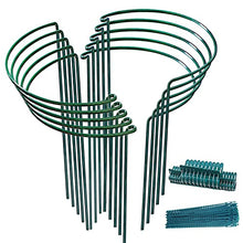 Load image into Gallery viewer, 10pack Garden Plant Support Stake 10&quot; Wide x 16&quot; High Half Round Metal Garden Plant Support Ring Border Support, Plant Support Ring Cage for RoseFlowers Vine Tomato with 20pack Plant Clips &amp;Plant Ties

