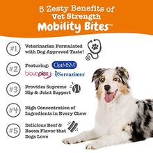 Load image into Gallery viewer, Multifunctional Supplements for Dogs - Glucosamine Chondroitin for Joint Support + Vet Strength Hip &amp; Joint Soft Chews for Dogs - Glucosamine, Chondroitin &amp; MSM
