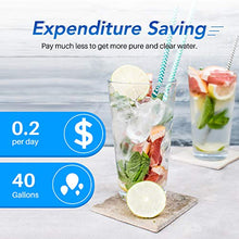 Load image into Gallery viewer, ICEPURE CRF-950Z Pitcher Water Filter Replacement for PUR CRF950Z, PPF900Z, PPF951K, PPT700W, CR-1100C, CR1100CV, DS-1800Z, PPT711W, PPT711B, PPT111W and More PUR Pitcher and Dispensers System, 4PACK
