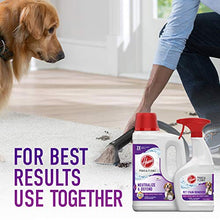 Load image into Gallery viewer, Hoover, White Paws &amp; Claws Deep Cleaning Carpet Shampoo with Stainguard, Concentrated Machine Cleaner Solution for Pets, 64oz Formula, AH30925, White
