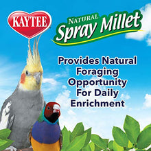 Load image into Gallery viewer, Kaytee Spray Millet Treat for Pet Birds, 7 Ounce
