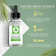Load image into Gallery viewer, OZNaturals Hyaluronic Acid and Vitamin C Serum - Moisturizing and Anti Aging Serum For Face With Pure Vitamin E Oil and Rosehip Oil - Best Anti Wrinkle and Pore Minimizer Facial Serum - 1 Fl Oz
