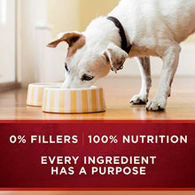 Load image into Gallery viewer, Purina ONE Grain Free, Natural Pate Wet Dog Food, SmartBlend True Instinct With Real Turkey &amp; Venison - (12) 13 oz. Cans
