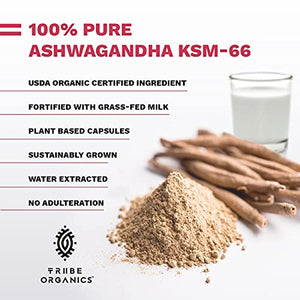 Full-Spectrum KSM-66 Ashwagandha 5% Withanolides - Pure Organic Root Extract - NO Additives - Boost Immunity Adrenal Thyroid (120 Full-Spectrum)