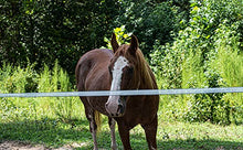 Load image into Gallery viewer, SGT KNOTS High Visibility Electric Fence Poly Tape - Long Lasting 5 Stainless Steel Conductors (1/2" x 656ft, 1 Spool - White)
