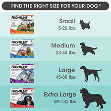 Load image into Gallery viewer, Frontline Plus Flea and Tick Treatment for Dogs (Large Dog, 45-88 Pounds, 3 Doses)
