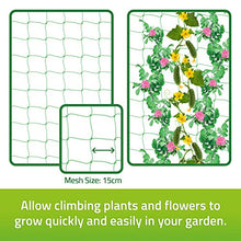 Load image into Gallery viewer, De-Bird: Trellis Netting for Climbing Garden Plants, Grow Garden Flowers, Green Pea and Vine Plants
