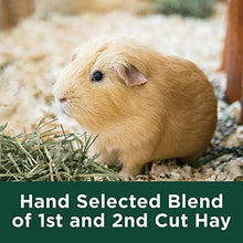 Load image into Gallery viewer, Kaytee All Natural Timothy Hay for Guinea Pigs, Rabbits &amp; Other Small Animals, 12 Pound
