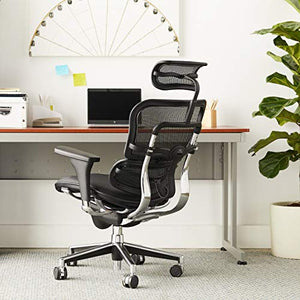 Eurotech Seating Ergohuman High Leather Seat/Mesh Back Swivel Chair, Black