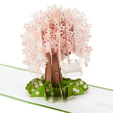 Load image into Gallery viewer, Hallmark Signature Paper Wonder Pop Up Anniversary Card, Love Card, Romantic Birthday Card (Cherry Blossom Tree)
