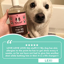 Load image into Gallery viewer, Natural Dog Company Itchy Dog Shampoo (12oz) | Natural and Hypoallergenic | Non-Toxic and Paraben-Free | Dog Shampoo for Itchy Skin Relief and Coat Health | Hydrates, Soothes and Heals Irritations

