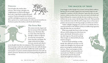 Load image into Gallery viewer, The Witch&#39;s Way: A Guide to Modern-Day Spellcraft, Nature Magick, and Divination (Volume 5) (The Modern-Day Witch)
