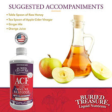 Load image into Gallery viewer, Buried Treasure ACF Extra Strength Advanced Immune Recovery with Vitamin C 1000mg, Elderberry Echinacea Zinc and Herbal Blend, Boost Immunity Support Supplement, 16oz. with Convenient Dose Cup
