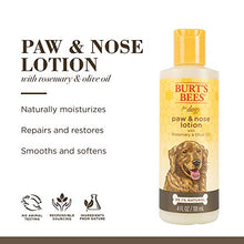 Load image into Gallery viewer, Burt&#39;s Bees for Pets for Dogs All-Natural Paw &amp; Nose Lotion with Rosemary &amp; Olive Oil | For All Dogs and Puppies, 4oz | Best Treatment for All Dogs and Puppies With Dry Nose and Paws
