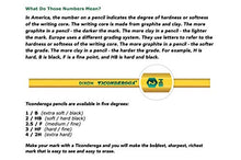 Load image into Gallery viewer, TICONDEROGA Pencils, Wood-Cased, Unsharpened, Graphite #2 HB Soft, Yellow, 96-Pack (13872)
