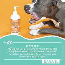 Load image into Gallery viewer, Natural Dog Company Wild Alaskan Salmon Oil for Dogs (16oz) | Skin &amp; Coat Supplement for Dogs | Supports Joint &amp; Heart Health | Boosts Immune System | Liquid Fish Oil with Biotin, Omega 3, &amp; Omega 6
