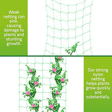 Load image into Gallery viewer, De-Bird: Trellis Netting for Climbing Garden Plants, Grow Garden Flowers, Green Pea and Vine Plants
