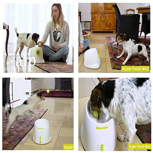 AFP Automatic Dog Ball Launcher Interactive Puppy Pet Ball Indoor Thrower Machine for Small and Medium Size Dogs, 3 Balls Included (2 inch)