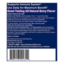 Load image into Gallery viewer, Sambucol Black Elderberry Gummies, 60 Count
