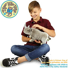 Load image into Gallery viewer, Rhodie The Rhino - 12.5 Inch Stuffed Animal Plush Rhinoceros - by Tiger Tale Toys
