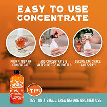 Load image into Gallery viewer, ANGRY ORANGE Pet Odor Eliminator for Home - 8oz Dog &amp; Cat Urine Smell Remover - Citrus Concentrate - Makes a Gallon (128 oz)
