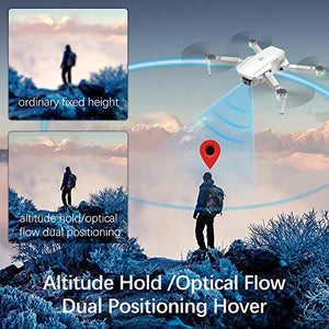 GoolRC Mini Pro Drone with Camera S161,Foldable FPV Drone with 4K HD Camera, Optical Flow Positioning RC Quadcopter with Gesture Photos/Video, Altitude Hold, Track Flight, Storage Bag and 3 Batteries