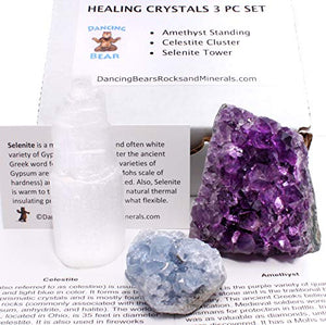 Dancing Bear Amethyst Cluster Cut Base (up to ½ lb), Celestite, Selenite Tower (3" Tall), Healing Crystal (3 Pc Set) Premium Grade A, Bohemian Home Décor, Natural Good Vibes, Metaphysical Info Cards