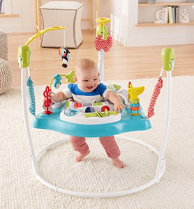 Fisher-Price Color Climbers Jumperoo