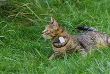 Load image into Gallery viewer, Cat Tracker RF Finder Longest Range up to 1600 ft lightest pet Safety Tracking Device only 0.28oz Small Pets Dog Girafus Pro-Track-tor Pet Tracker

