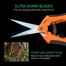 Load image into Gallery viewer, VIVOSUN 6.5 Inch Gardening Scissors Hand Pruner Pruning Shear with Straight Stainless Steel Blades Orange 1-Pack
