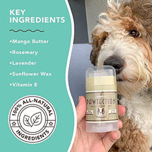 Load image into Gallery viewer, Natural Dog Company PawTection Balm Stick for Dogs (2oz) | Veterinarian-Approved and All-Natural Dog Paw Balm and Moisturizer | Nourishing Dog Paw Protector for Rough Terrain and Harsh Temperatures
