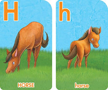 Load image into Gallery viewer, School Zone - Go Fish Alphabet Game Cards - Ages 4 and Up, Preschool to First Grade, Uppercase and Lowercase Letters, ABCs, Word-Picture Recognition, Animals, Card Game, Matching, and More

