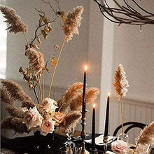 Load image into Gallery viewer, Dried Pampas Grass Decor - 40 Pcs Natural Pompas Floral/ Dried Pompous Grass Boho Plant for Flower Arrangements Wedding Home Decor(30 Pcs Brown Pampas Grass &amp; 10 Pcs Beige Pampas Grass)
