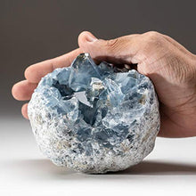 Load image into Gallery viewer, Astro Gallery of Gems Blue Celestite Cluster Geode from Sankoany, Ketsepy Mahajanga, Madagascar (3.5 lbs) - BC60
