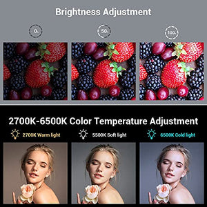 simorr LED Video Light 3286+SMALLRIG Screw Set for Camera Accessories Cages Handles Plates - AAK2326