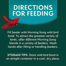 Load image into Gallery viewer, Morning Song 11959 Clean &amp; Free Shell Free Wild Food Premium No Mess Bird Seed for Outside Feeders, 10 lb
