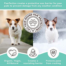 Load image into Gallery viewer, Natural Dog Company PawTection Balm Stick for Dogs (2oz) | Veterinarian-Approved and All-Natural Dog Paw Balm and Moisturizer | Nourishing Dog Paw Protector for Rough Terrain and Harsh Temperatures
