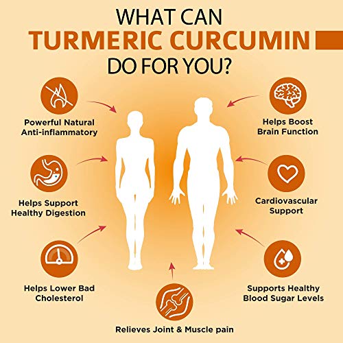 Load image into Gallery viewer, Organic Turmeric Curcumin Supplement 1500mg with BioPerine | 95% Standardized Curcuminoid Extract & Organic Root Powder with Piperine Black Pepper Fruit (10mg), 120 Vegetarian Capsules