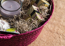 Load image into Gallery viewer, SuperMoss (26914) Spanish Moss Preserved, Natural, 8oz (200 cubic inch)
