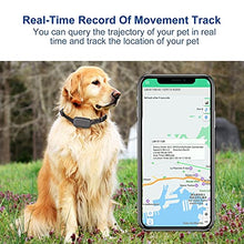 Load image into Gallery viewer, Waterproof GPS Tracker for Dog - Activity Unlimited Range Fits for All Android iOS Devices
