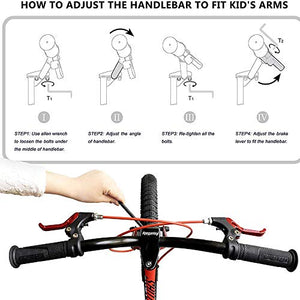 RoyalBaby Boys Girls Kids Bike 16 Inch Matte Button Bicycles with Training Wheels Kickstand Child Bicycle Pink