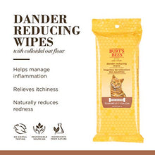 Load image into Gallery viewer, Burt&#39;s Bees Kitten and Cat Wipes For Grooming, Natural Dander Reducing Wipes, 50 Count
