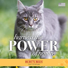 Load image into Gallery viewer, Burt&#39;s Bees Kitten and Cat Wipes For Grooming, Natural Dander Reducing Wipes, 50 Count
