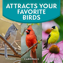 Load image into Gallery viewer, Morning Song 11959 Clean &amp; Free Shell Free Wild Food Premium No Mess Bird Seed for Outside Feeders, 10 lb
