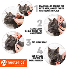 Load image into Gallery viewer, Rolf Club 3D Flea &amp; Worm Collar for Cats and Small Dogs - Flea Control and Tick Treatment - Better Than Oral Flea Control - Cat Worm Prevention for Tapeworms
