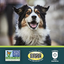 Load image into Gallery viewer, EverRoot Immunity Dog Supplement by Purina, Immunity Chewable Tablet with Spirulina &amp; Antioxidants for Dogs - 3.6 oz. Canister
